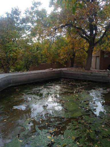 عکس تینجان