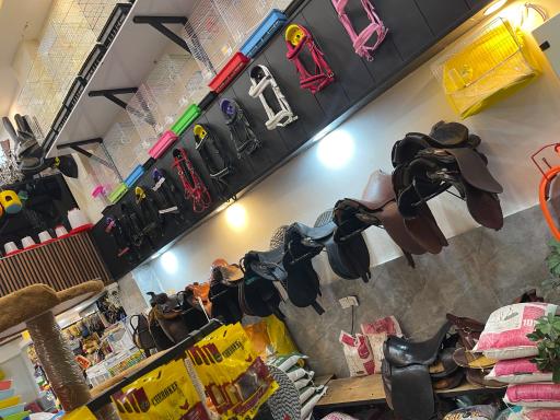 عکس پت شاپ و لوازم سوارکاری مجموعه دکتر هورس