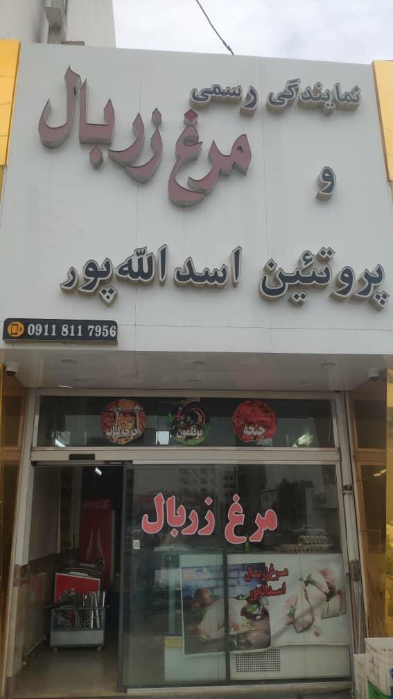 عکس مرغ زربال اسدالله پور سرخرود