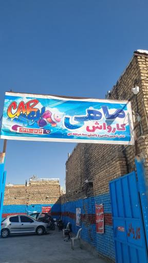 عکس کارواش ماهی 