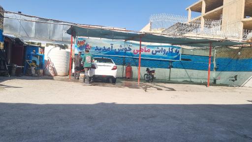 عکس کارواش ماهی 