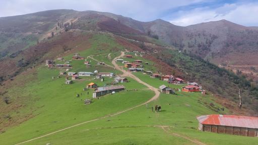 عکس سوئه چاله