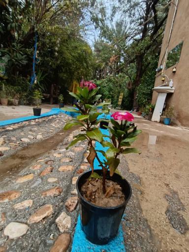 عکس بومگردی و باغ گردشگری باباامیر