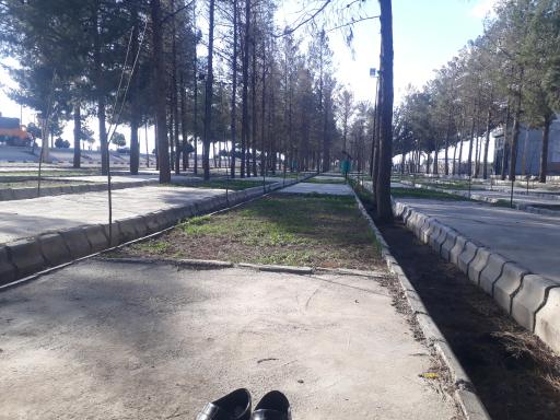 عکس پارک زائر سبزوار