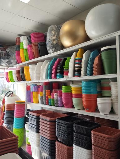 بازارگل اسمان (فروشگاه عدالت)