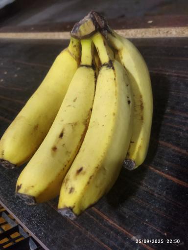 عکس میوه فروشی کریمی