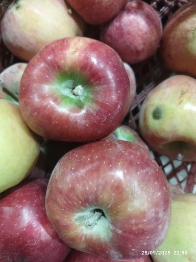 عکس میوه فروشی کریمی