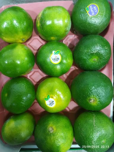 عکس میوه فروشی کریمی