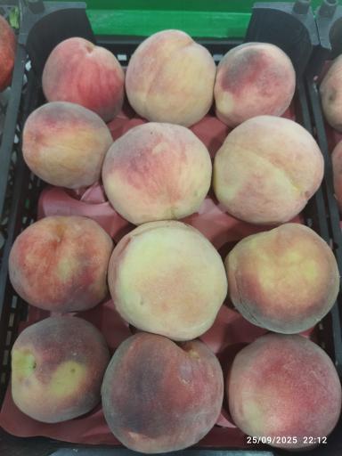 میوه فروشی کریمی