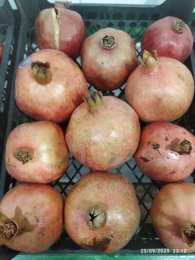 عکس میوه فروشی کریمی