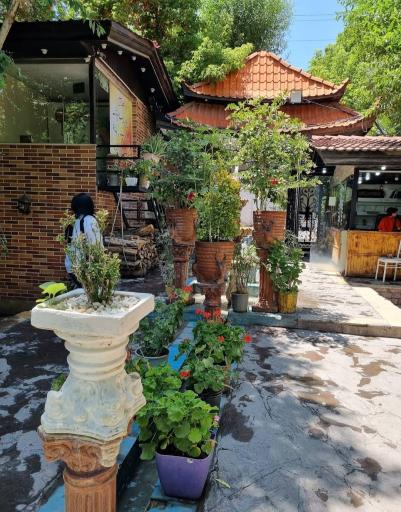 عکس باغ رستوران و کافی شاپ ویدار