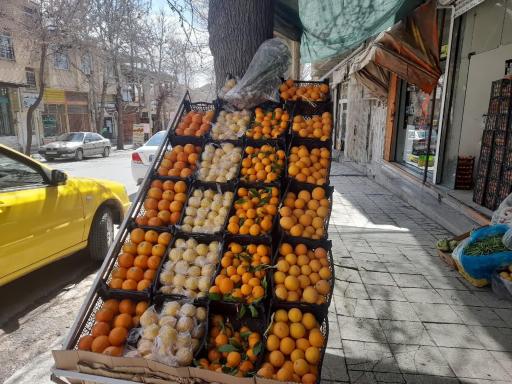 عکس میوه فروشی جواد رشیدی