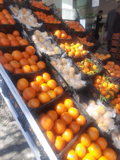 عکس میوه فروشی جواد رشیدی