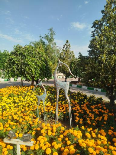 عکس مجتمع خدمات رفاهی آفتاب درخشان صحرا (غربی)