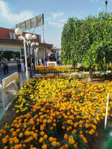 عکس مجتمع خدمات رفاهی آفتاب درخشان صحرا (غربی)