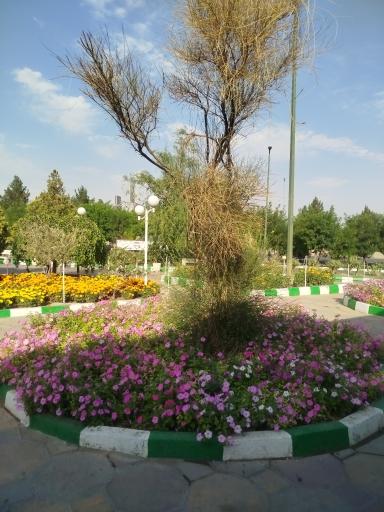 عکس مجتمع خدمات رفاهی آفتاب درخشان صحرا (غربی)