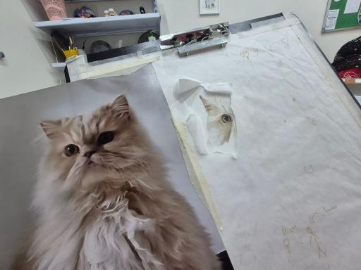 عکس آموزشگاه هنری الماس