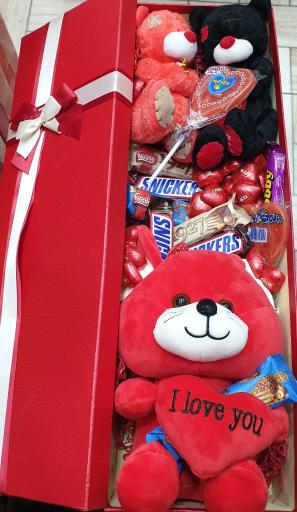 عکس اسباب بازی پرشین