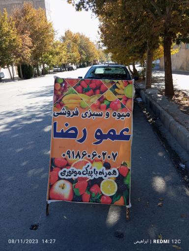 عکس میوه فروشی عمو رضا