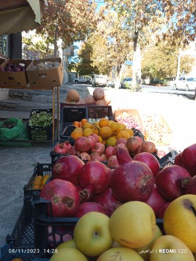 عکس میوه فروشی عمو رضا