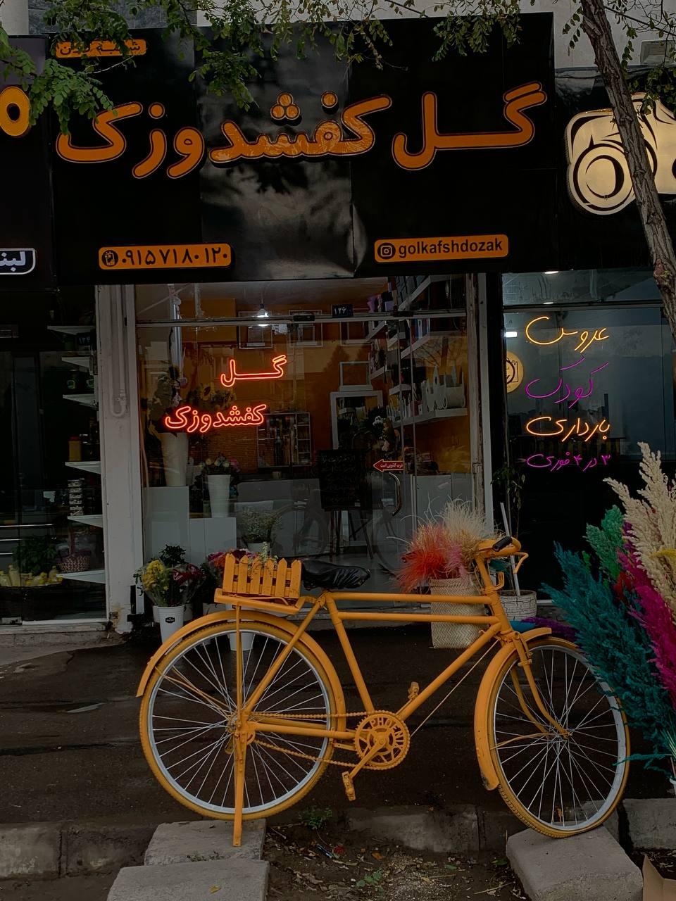 عکس گل کفشدوزک 