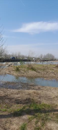 عکس پل الزهراء 14