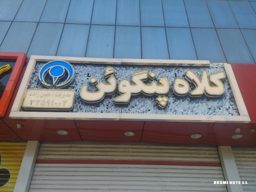 کلاه فروشی پنگوئن