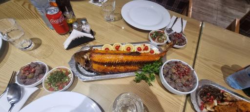 عکس رستوران پالم