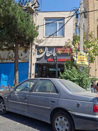 عکس مشاورین املاک ماهان