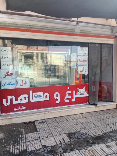 عکس مرغ و ماهی گیلانو