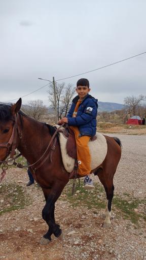 عکس پارک جنگلی چغاسبز