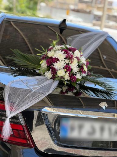 عکس گلکده لوکس