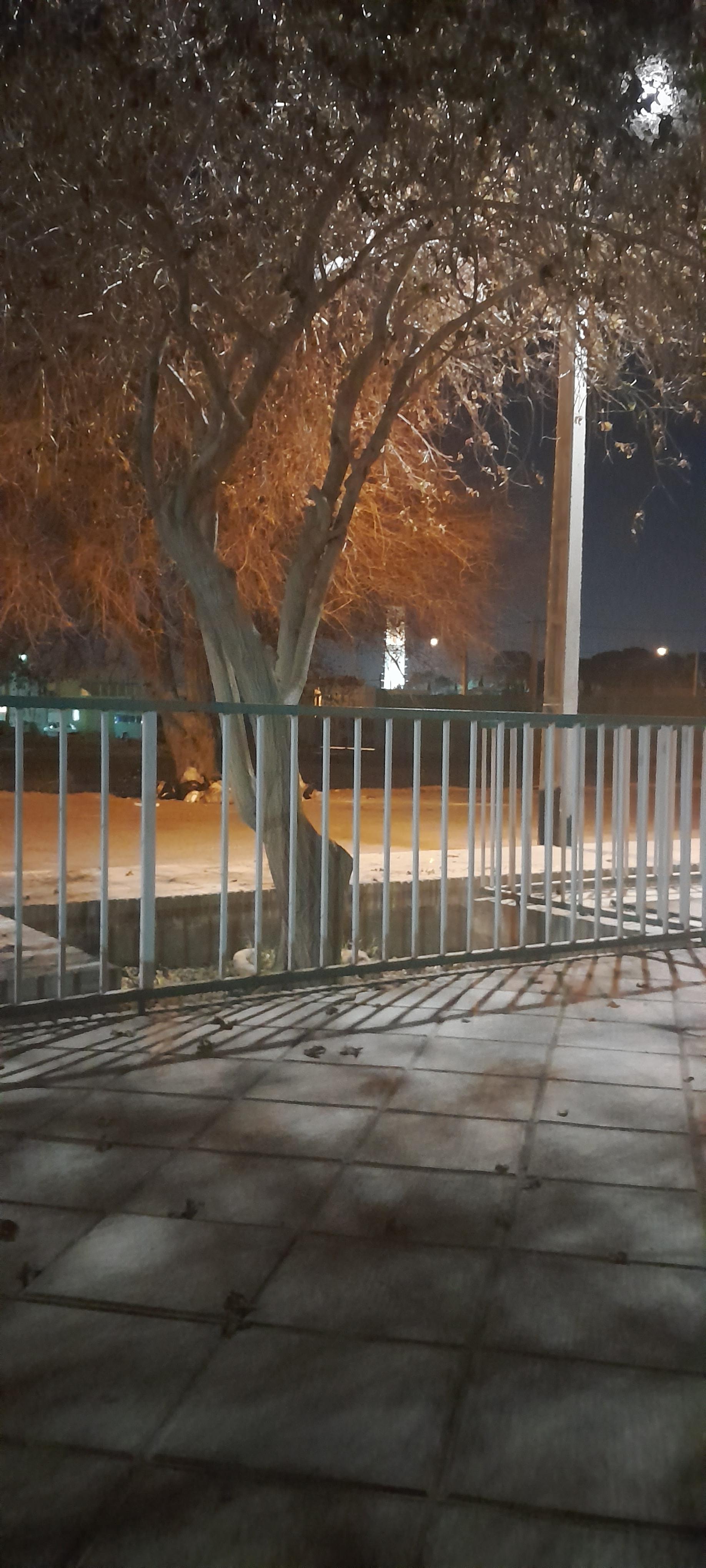 عکس پارک کودک 