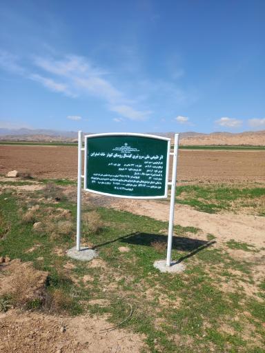 عکس درخت سرو کهن سال کبوترخانه 