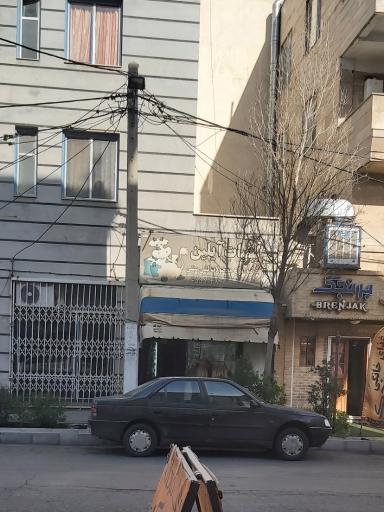 عکس لبنیات آیلین