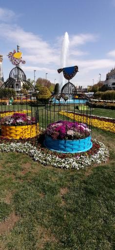 عکس میدان فلکه آب (بیت المقدس)