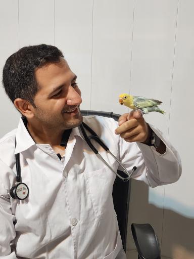 کلینیک دامپزشکی تخصصی طیور و پرندگان دکتر موسوی نسب