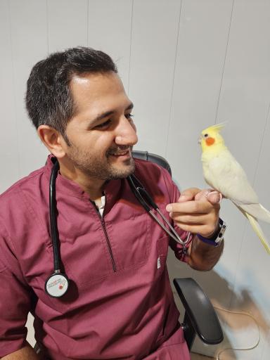 عکس کلینیک دامپزشکی تخصصی طیور و پرندگان دکتر موسوی نسب