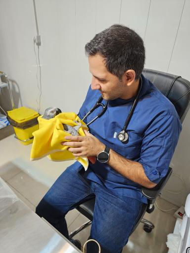 کلینیک دامپزشکی تخصصی طیور و پرندگان دکتر موسوی نسب