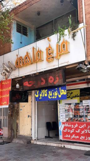 عکس مرغ و ماهی راد