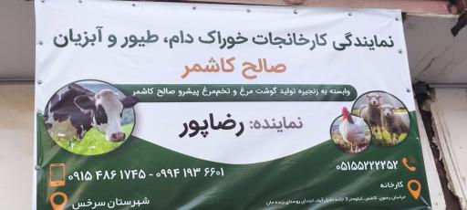 عکس خوراک دام و طیور رضاپور