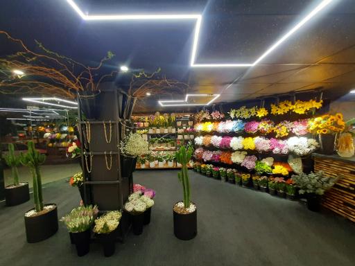 عکس گلفروشی گلستانه