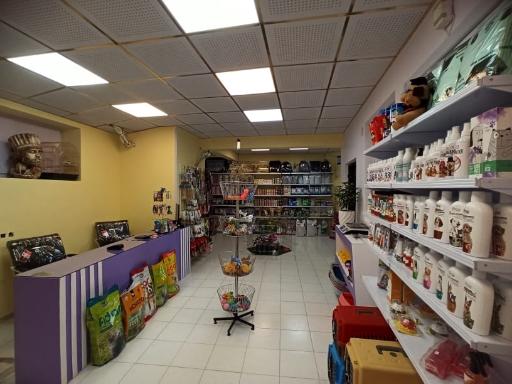 عکس پت شاپ اکوپت