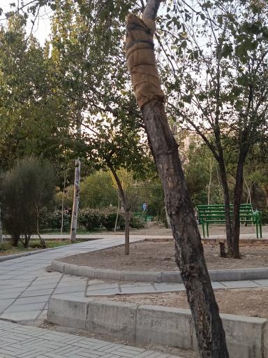عکس بوستان گویش