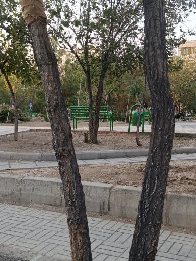 عکس بوستان گویش