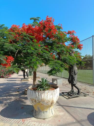 عکس زمین فوتبال