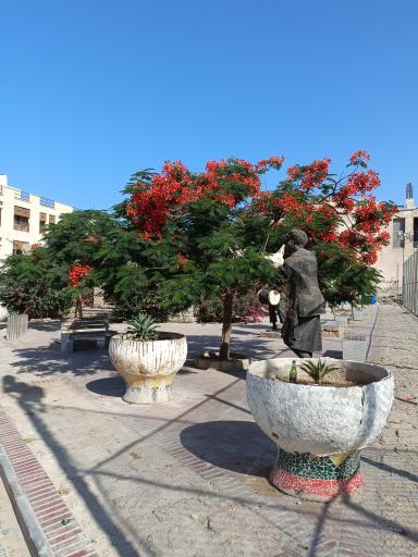 عکس زمین فوتبال