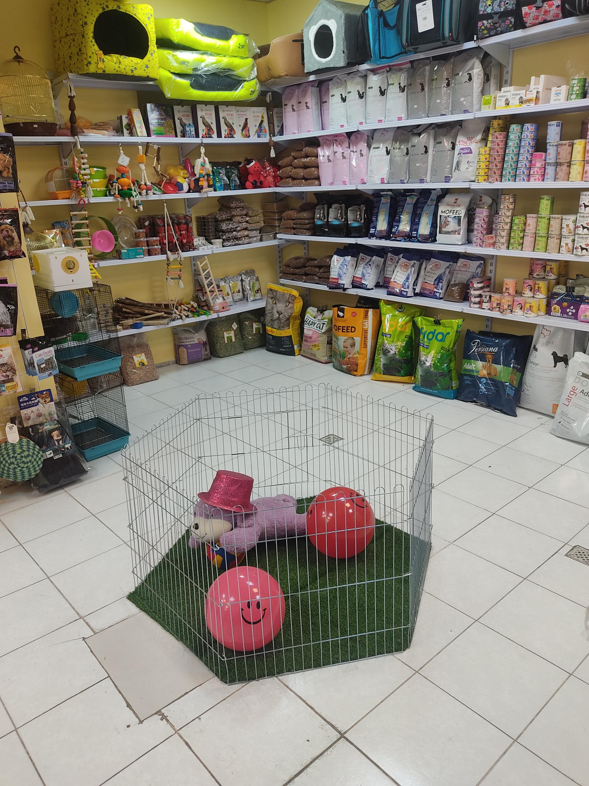 عکس پت شاپ اکوپت