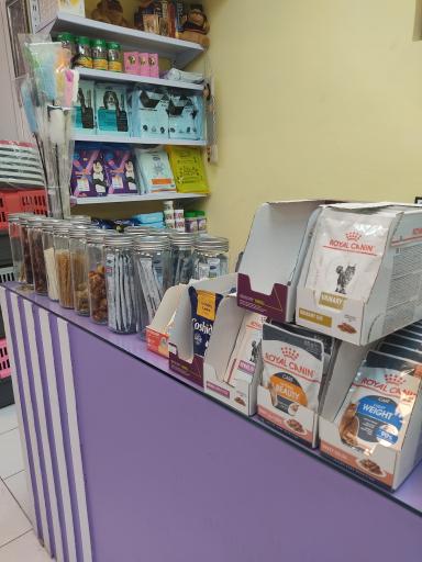 عکس پت شاپ اکوپت