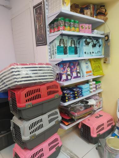 عکس پت شاپ اکوپت